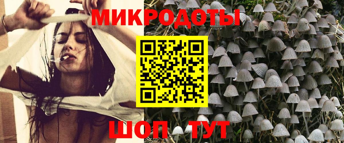 Псилоцибиновые грибы GOLDEN TEACHER  Вход с VPN  что такое наркотик  Будённовск 